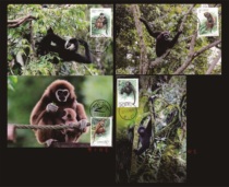 2002-27 Protecting Animals Gibbon Extreme Film 4 Complete Sold with non-first day postmark