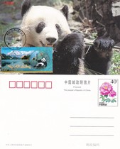 2022-26 Giant Panda National Park Natural Extreme Film Single Coin Posted in Wolong Sichuan Date Stamp