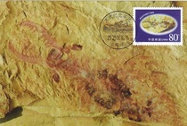 1999-16 Scientific and Technological Achievements Early Cambrian Chengjiang Biota Anomalocaris Extreme Film Sold without First Day Stamp