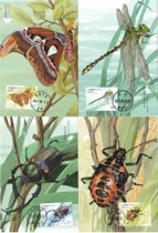 2023-15 Insects Group 2 Head Office Extreme Film 4 Complete with Cover