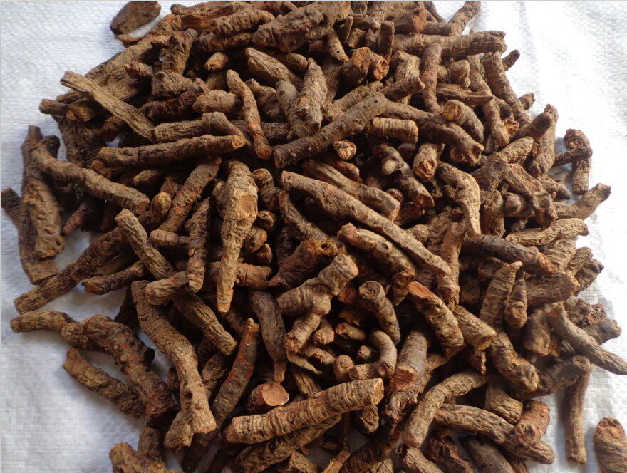 Chinese herbal medicine blood notoginseng notoginseng grass sees swelling and eliminates soil notoginseng selected dry product 500g