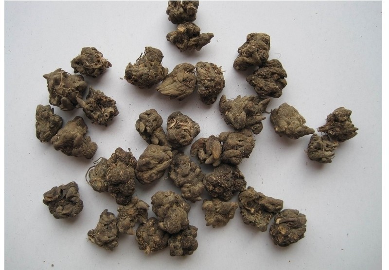 Wild herbs cat's claw grass Little buttercup Cat's claw grass Three loose grass loose knot hand selection