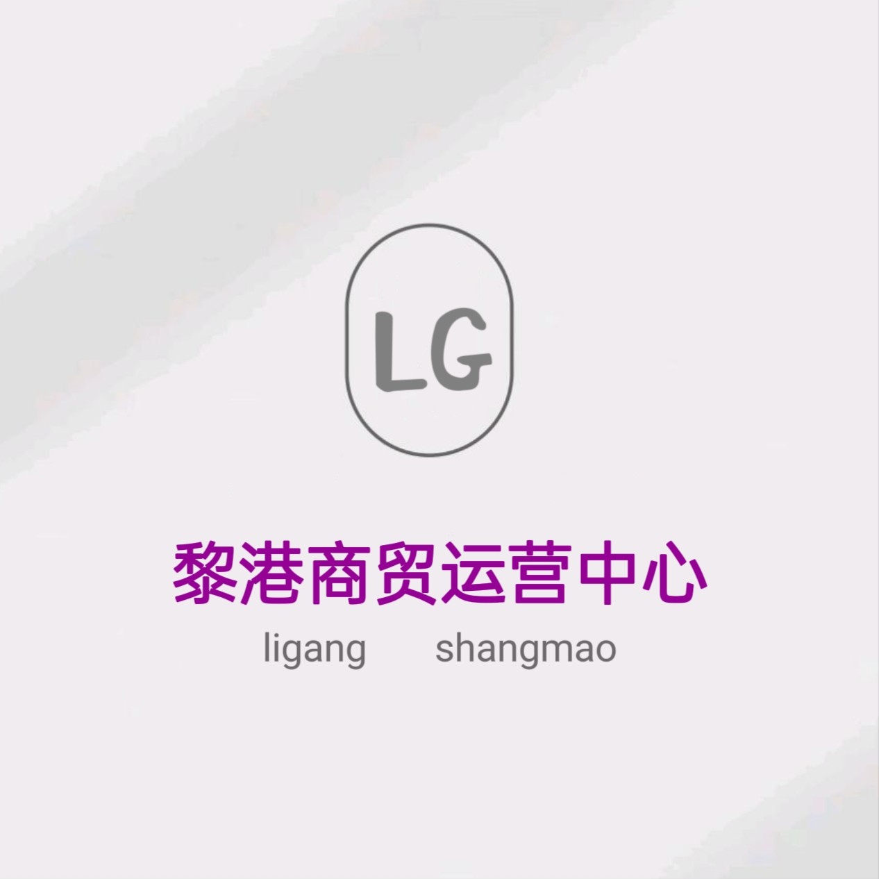 星辉starlight的店的LOGO