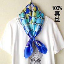 Silk silk scarves spring and autumn scarves small square scarves women tie satin noodles 65CM mulberry silk ins small scarves scarves scarves