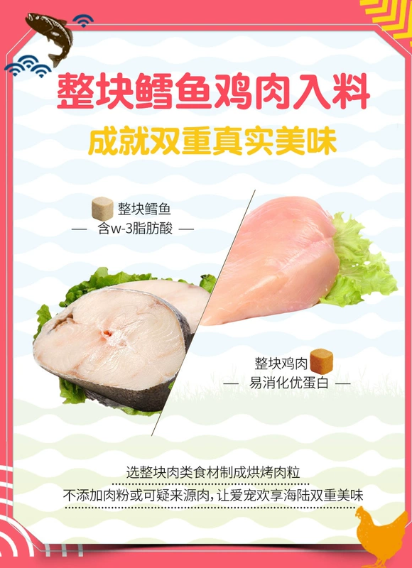 Trẻ em đang phát triển Tình yêu dành cho người lớn Thức ăn cho mèo 1,5kg Hương vị Gà Dinh dưỡng Lông mang Thức ăn cho mèo tự nhiên Thức ăn khô - Cat Staples