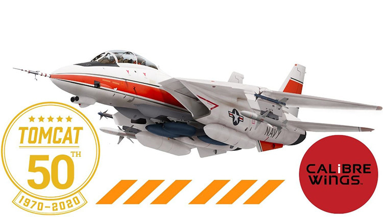 Calibre Wings CA721411 1 72 F-14D Super Tomcat 50th Anniversary