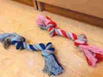 Consult before shooting. Must communicate before shooting.