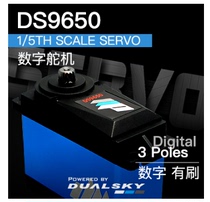 Double day high performance digital servo DS9650 1 5th scale servo 202g 50kg