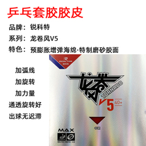 Rykot REACTOR Tornado V5 Golden Wind Table Tennis Racket Rubber Set Adhesive Adhesive Anti-adhesive Training