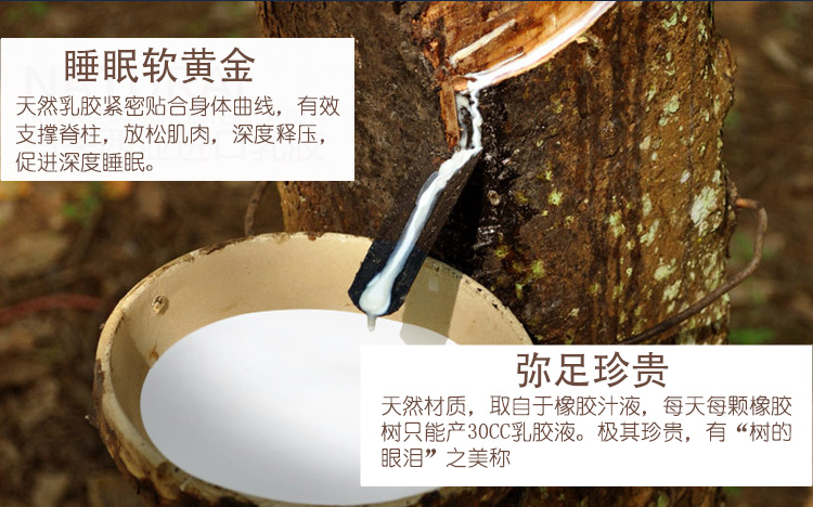 Gisborne latex nệm 1,5m 1.8m mùa xuân độc lập dừa cọ cứng và mềm kép sử dụng tùy chỉnh dày 20cm Simmons - Nệm nệm 1m8