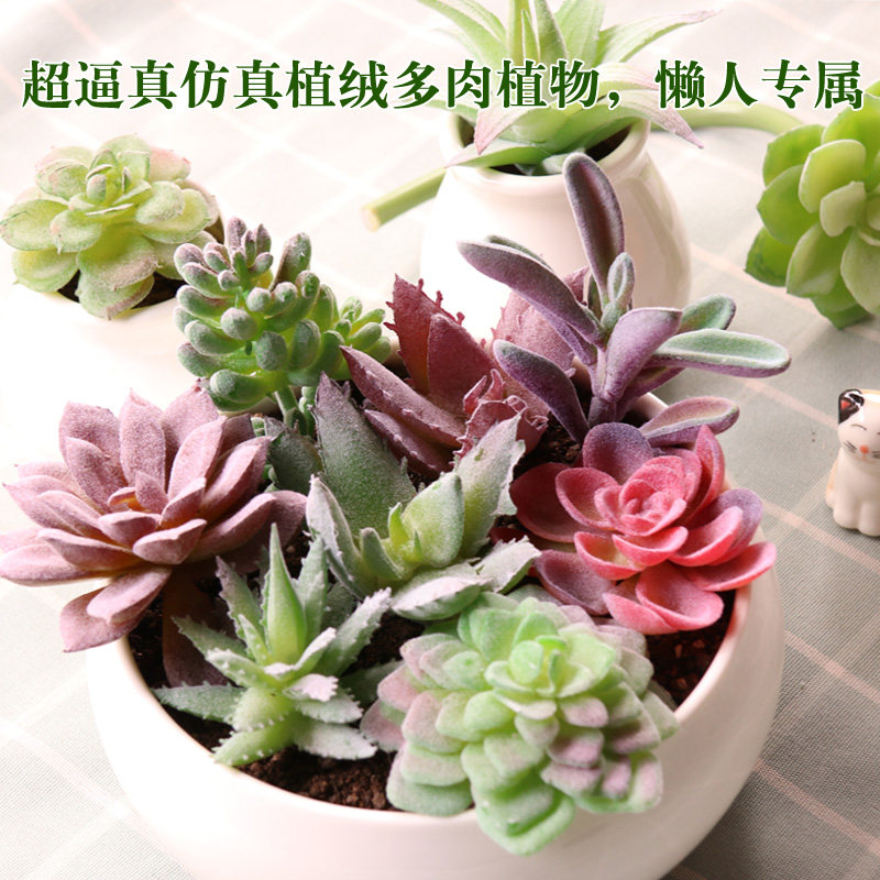 Simulated meat - multi - meat - combined potted microlandscape indoor household green plant decoration fake fixtures