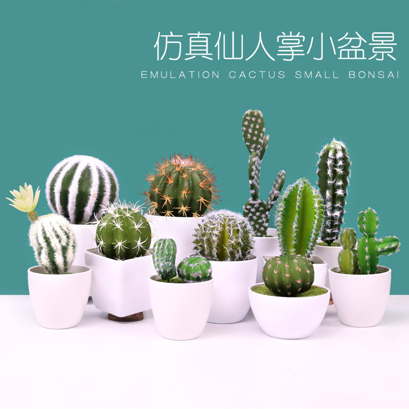 Fake Cactus ins Nordic White flower pot Flowering Cactus pot simulation Succulents Fake flower pot landscape decoration