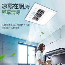 Integrated ceiling dome kitchen embedded strong blowing ultra-quiet electric fan cold fan direct blowing swing Leaf electric fan