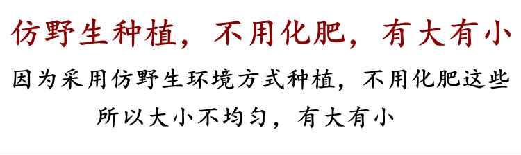 竹荪干货20g天然无硫农家新鲜长裙足