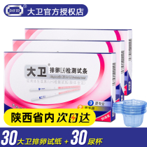 David Ovulation Test Paper 30 Pack High-precision Ovulation Follicle LH Test Preparation Pregnancy Test Paper