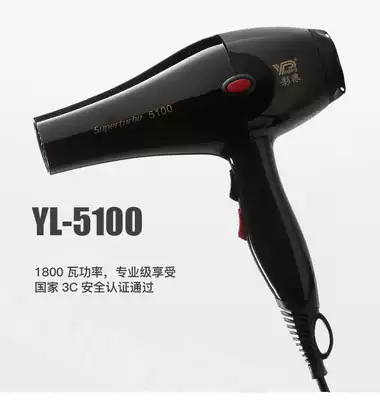 Shadow wave hair dryer household dormitory 1800W high power management shop hot and cold wind hair dryer YL5100