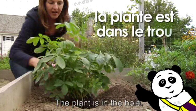 法语启蒙 幼儿 儿童零基础法语启蒙动画片 Little pim french 法语学习素材