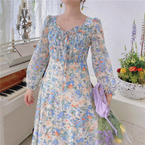 Spring skirts Impressionist style Monet retro oil painting Skirt Long Sleeve Cardiator Pumping with dress Skirt Temperament