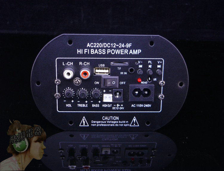 Universal 220V12V24V car subwoofer amplifier board sound gun core speaker motherboard 6 inches 8 inches 10 inches