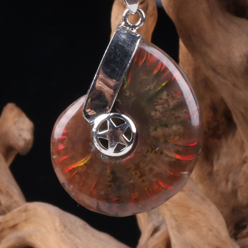 Li Guming Feng Shui Mascot Spotted with Colorful Snail Fossilized Snail Pendant Pendant