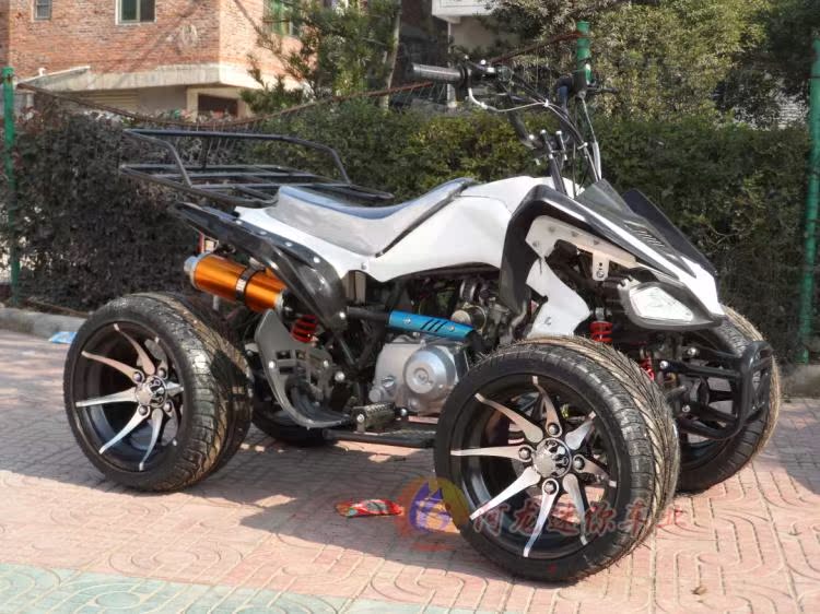 Bốn bánh bãi biển motocross điện Mars nhỏ ATV xe đạp leo núi trang web xe ATV tất cả địa hình