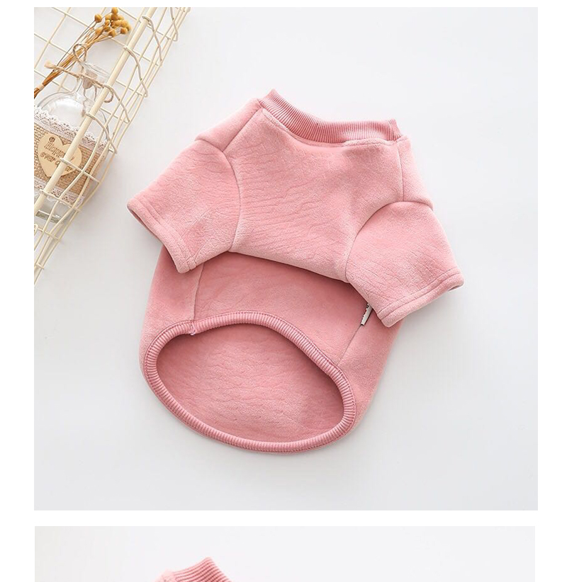 Quần áo chó Teddy mùa thu và mùa đông chó nhỏ và vừa nước nhung quần áo bình thường hai chân quần áo luật schnauzer thú cưng - Quần áo & phụ kiện thú cưng quần áo mèo
