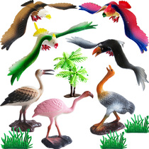 Simulation bird animal model special conference called bird eagle parrot peacock ostrich sound child toy pinch cry