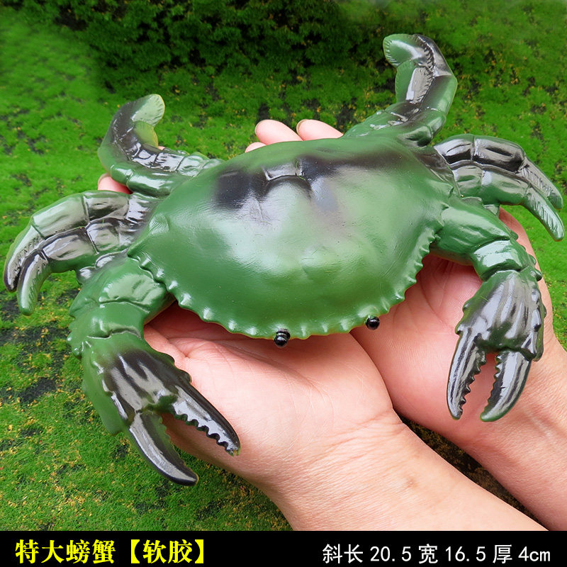 Игрушки-животные 软体海洋动物模型夜光八爪章鱼 Abundance