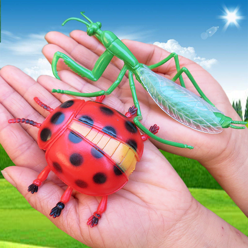 Special Simulation of Insects Model Toy Ladyworm Caterpillar Scorpion Spider Dragonfly Bee Grasshopper Ccadad