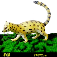 Леопардовый кот