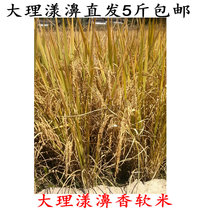 Yunnan Dalis fragrant soft Mitte production 5 catties of fragrant glutinous rice taste New rice aromas of ancient species No sugar level