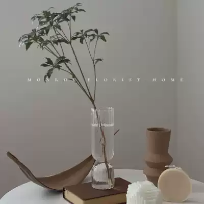 MONROE dream deer studio net red glass vase ornaments flower arrangement ins transparent living room decorative flower arrangement table