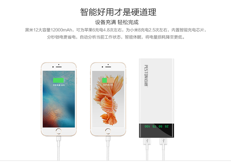 12 cặp gạo đen Bai cổng USB Mass sạc điện kho tàng điện thoại di động tablet cú đấm nhanh phí điện thoại di động 2A - Ngân hàng điện thoại di động cục sạc dự phòng anker