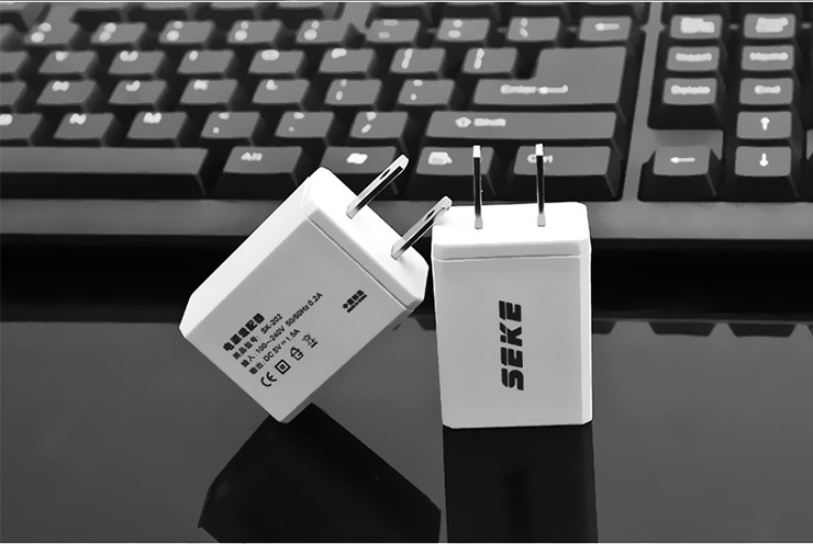 chargeur SEKE - Ref 1296476 Image 18