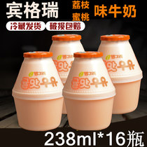 Korea Imported Bingley Vanilla Milk Beverage 238ml * 16 Bottles of Korea Bingley Vanilla Breakfast Milk