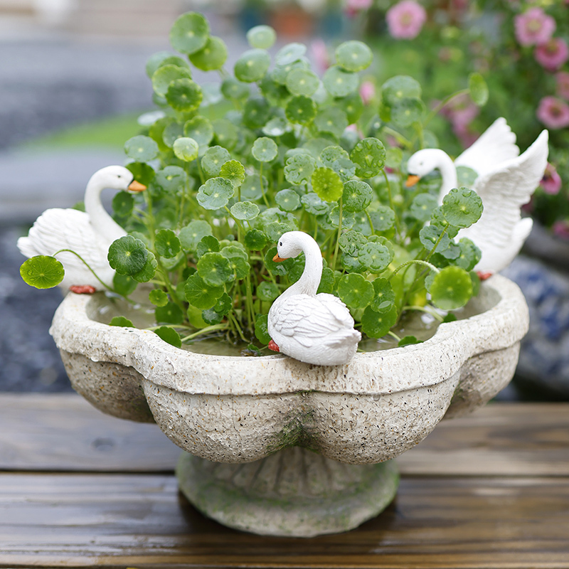Creative Hydroponic Flower Pot Without Holes for Growing Pennywort, Balcony Decoration, Courtyard Garden Tabletop Ornament Creative Hydroponic Flower Pot Without Holes for Growing Pennywort, Balcony Decoration, Courtyard Garden Tabletop Ornament