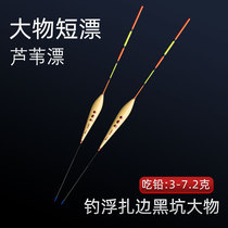 Big floating special short floating reed floating black pit dropping grass and raw shallow water drifting