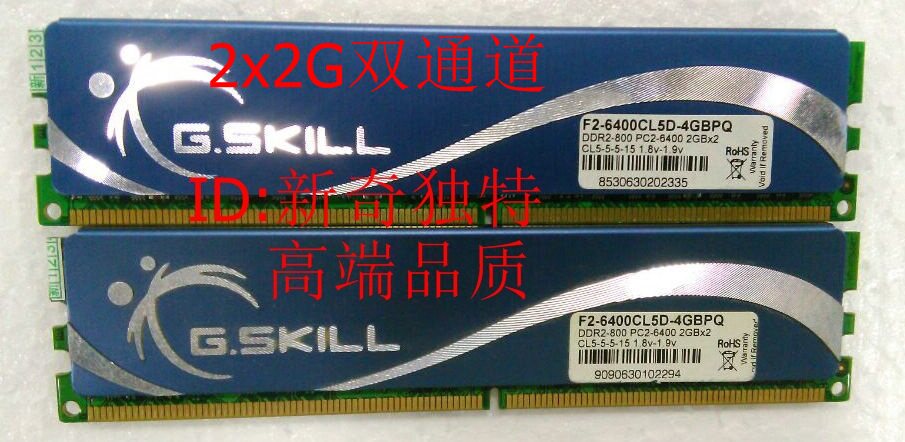 G skill Zhiqi 2 x 2G DDR2 800 dual channel memory F2-6400CL5D-4GBPQ