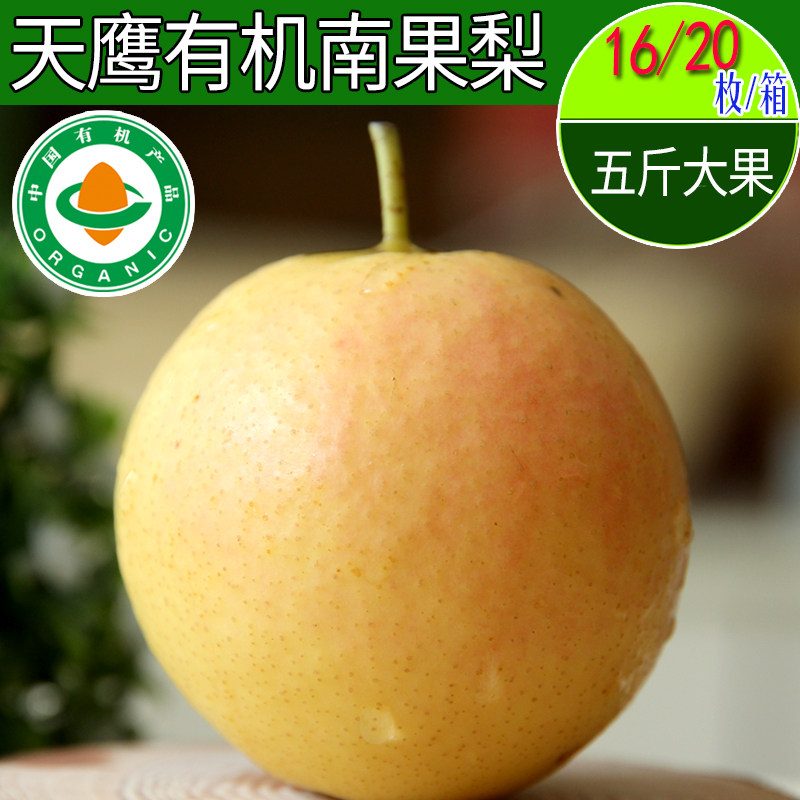 Tianying organic Nanguo pear Haicheng Datun Nanguo pear 24 pieces five jin boutique gift box Anshan specialty with thin and juicy skin