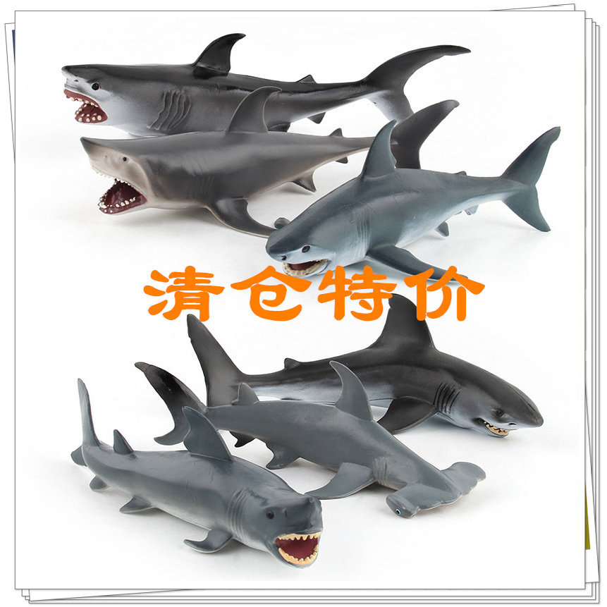 仿真海洋大鲨鱼模型大白鲨锤头鲨小蓝鲨巨齿鲨玩具教学用品摆件-淘宝