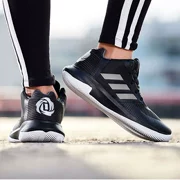 Giày thể thao nam Adidas 2018 mùa đông giày thể thao mới Ross nảy chiến đấu giày bóng rổ cao AQ0043