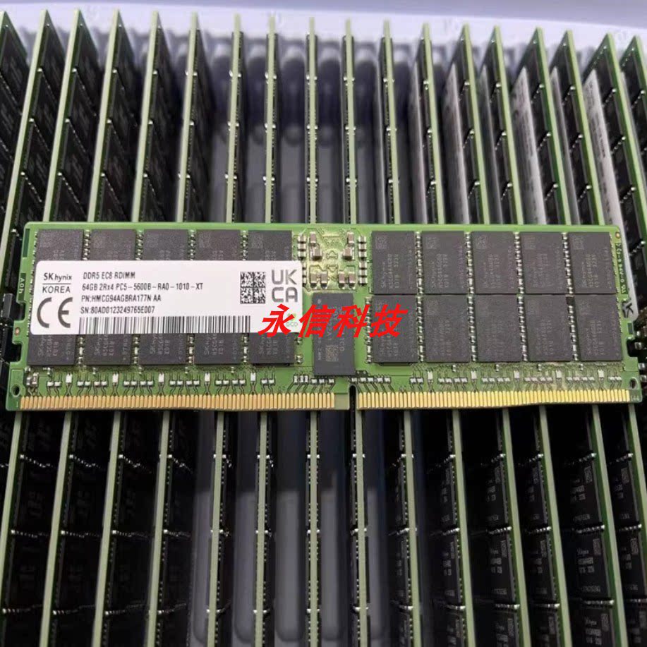 SK海力士DDR5 64G 2RX4 5600 RDIMM服务器内存条 HMCG94AGBRA177N🔥：如何让服务器跑得更快？🌟-内存-淘宝好物网