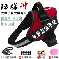 Xinjiang Dog Leash Harness Dog Chain Large Medium and Small Dog Leash Teddy Golden Retriever Labrador