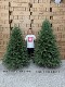 [High-End] Pure Pe Christmas Tree, Pe Tree with Dense Needles, Realistic Bare Tree, 2m 1 for Home Use, 2.4 Luxury 1.5m