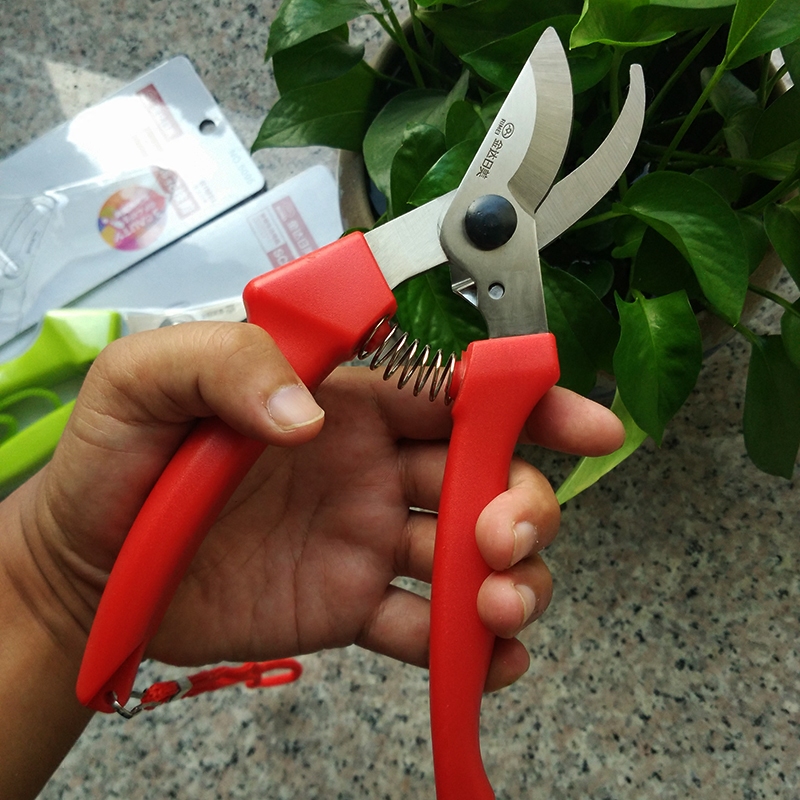Jinda Rimei 5095 cut flower branch scissors Gardening stainless steel scissors potted fruit tree kitchen household daily use