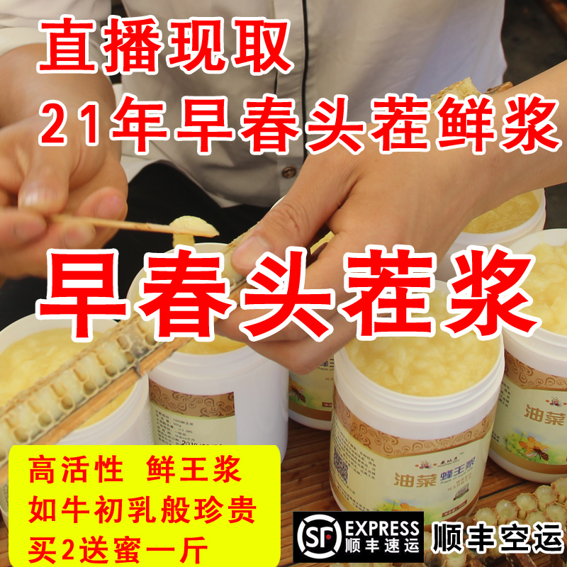 Live 2021 Early Spring pulp Fresh Royal Jelly Pure natural Rapeseed Royal Jelly SF
