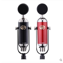 Sky rhyme E600 capacitive microphone mobile phone computer sound card universal microphone black bird money