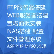 Server build ftp server web server website build NAS