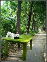 (Yesterdays Village) minimalist rectangular dining table coffee table Mediterranean Qingdao solid wood furniture customization