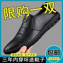 Red Dragonfly 2024 new leather shoes mens spring new mens shoes British business mens casual leather shoes work beans